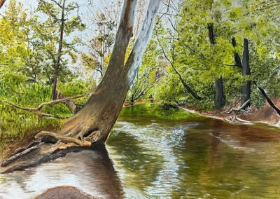 dennie-mann-bell-creek