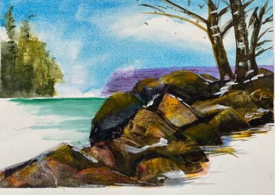 joan-nelson-rocky-shore